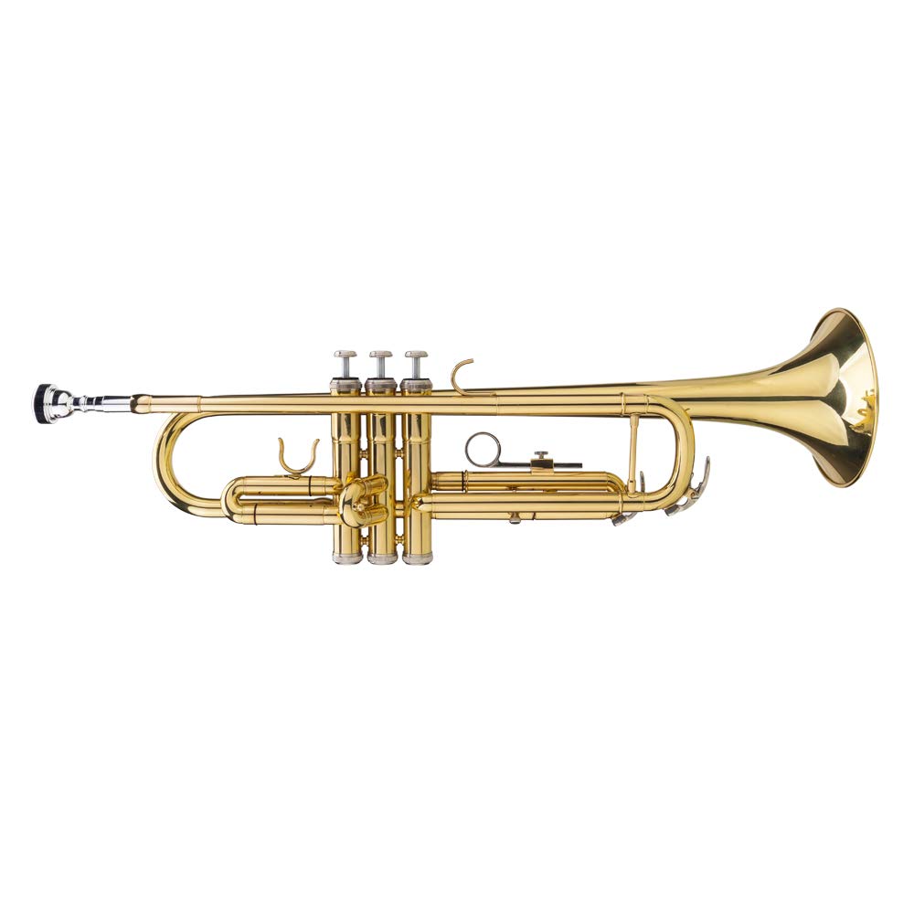 Amazon.com: Vasitelan Brass Standard B Trumpet Instrument with